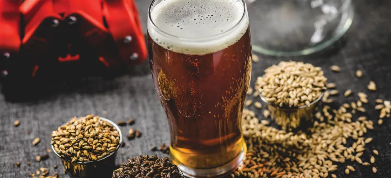  啤酒發(fā)酵過程大揭秘！vAPCI+CMS 聯(lián)用新技術(shù)如何快速捕捉風(fēng)味密碼？